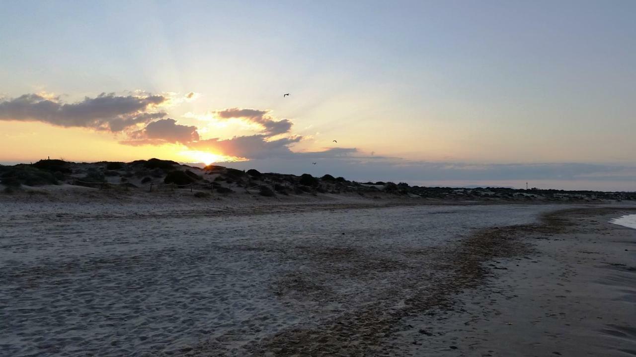 Urbanizacion Puerto Romano - Playa La Mata  Bagian luar foto